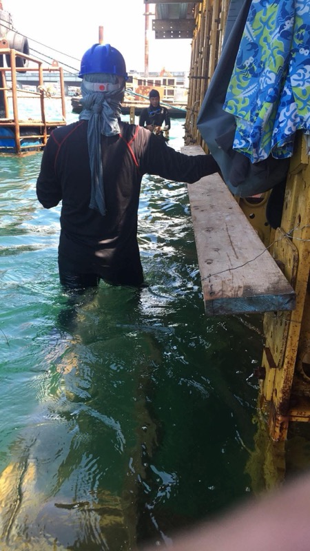 Diver entering water with plank during execution phase